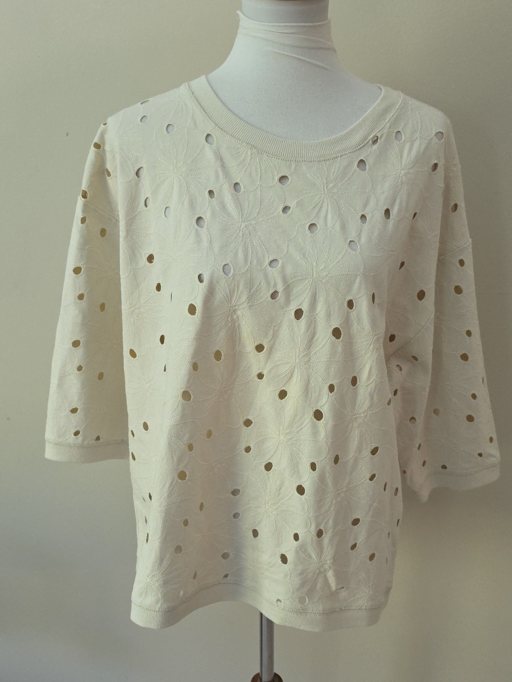 Loft Ann Taylor Women's Cream /Tan Eyelet Knit Top